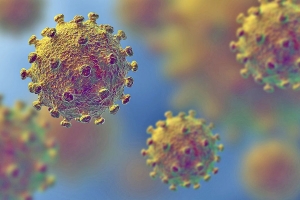 artículo científico